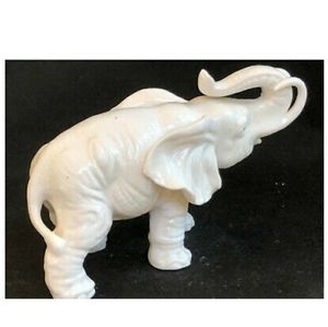 White 🐘❤❤❤🥰